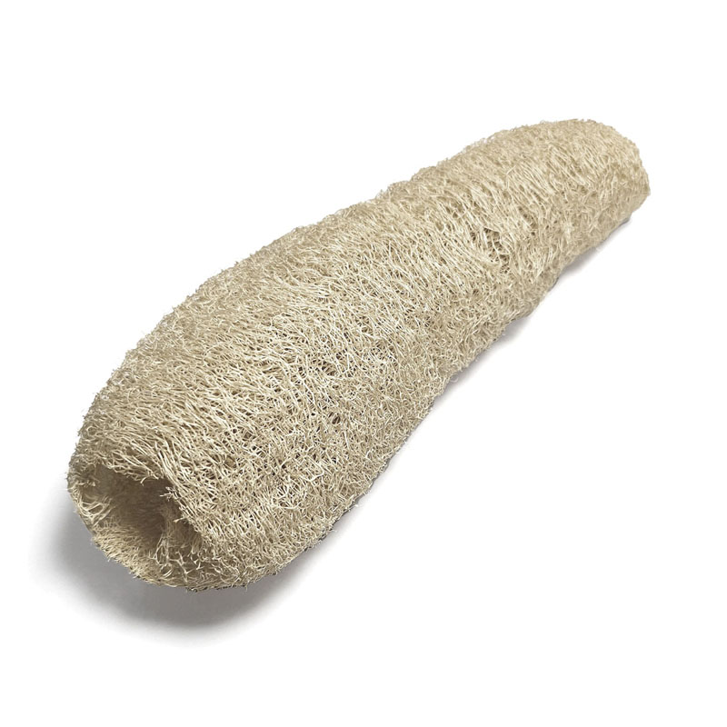 Esponja Vegetal